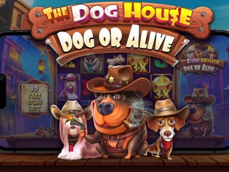 Spin to Win: A Comprehensive Review of The Dog House Dog or Alive Slot